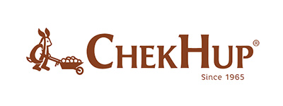 Outsource Web Development Services 12 portfolio chekhup